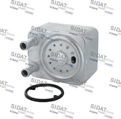 Sidat 590006 - Radiatore olio, Olio motore autozon.pro