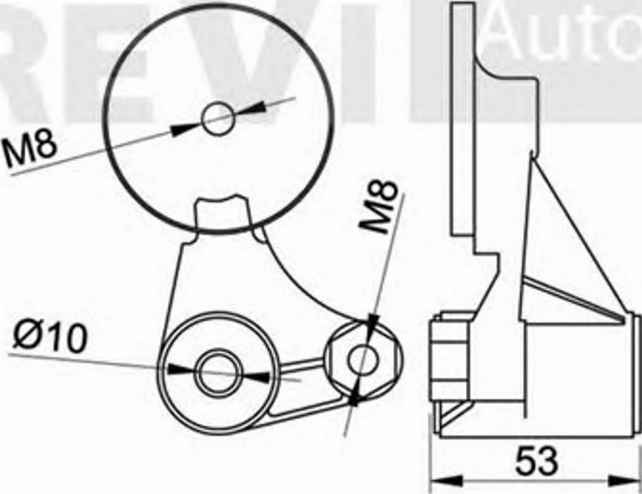 S&K SK008979S - Tendicinghia, Cinghia Poly-V autozon.pro