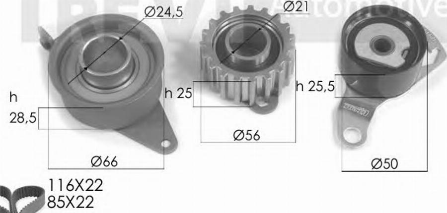 S&K SK3144D - Kit cinghie dentate autozon.pro