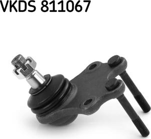 SKF VKDS 811067 - Giunto di supporto / guida autozon.pro