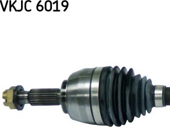 SKF VKJC 6019 - Albero motore / Semiasse autozon.pro