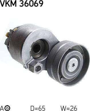 SKF VKM 36069 - Galoppino / Guidacinghia, Cinghia Poly-V autozon.pro