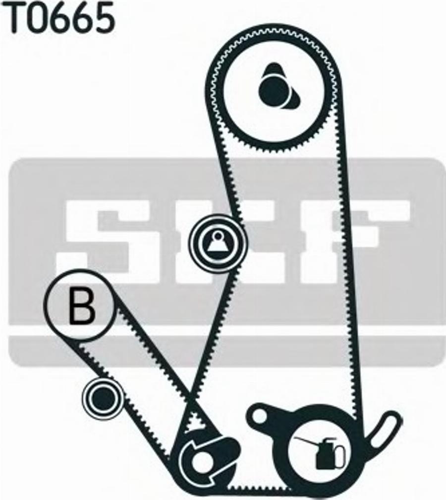 SKF VKMA95016 - Kit cinghie dentate autozon.pro