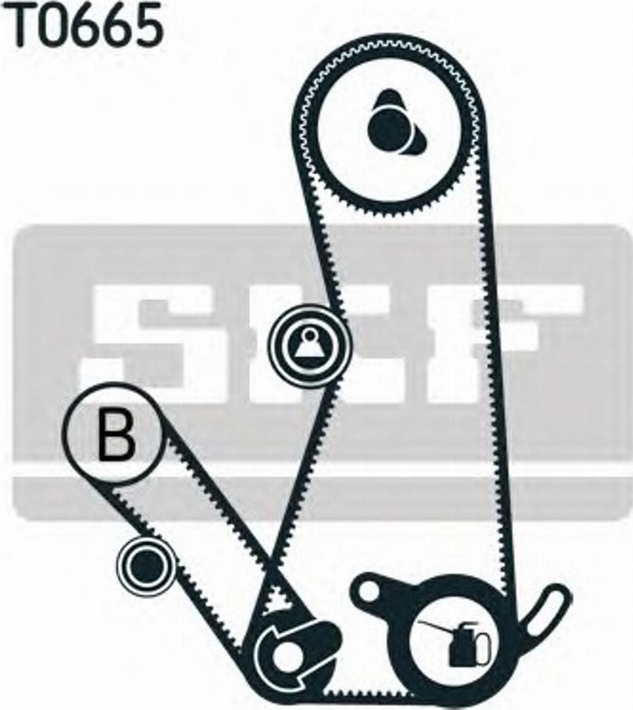 SKF VKMA95103 - Kit cinghie dentate autozon.pro