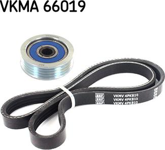 SKF VKMA 66019 - Kit Cinghie Poly-V autozon.pro