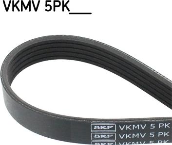 SKF VKMV5PK2020 - Cinghia Poly-V autozon.pro