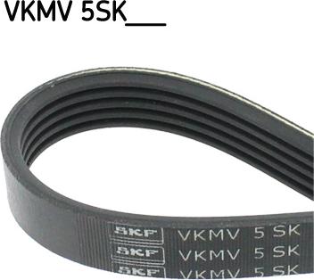 SKF VKMV 5SK926 - Cinghia Poly-V autozon.pro