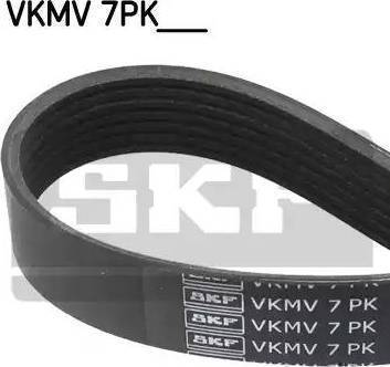 SKF VKMV7PK2876 - Cinghia Poly-V autozon.pro