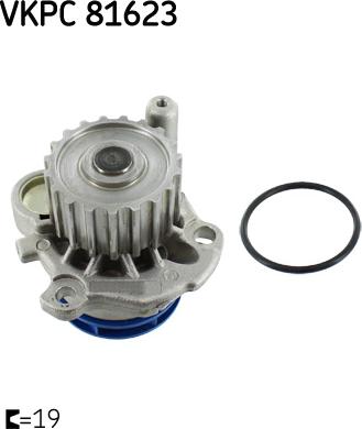 SKF VKPC 81623 - Pompa acqua autozon.pro