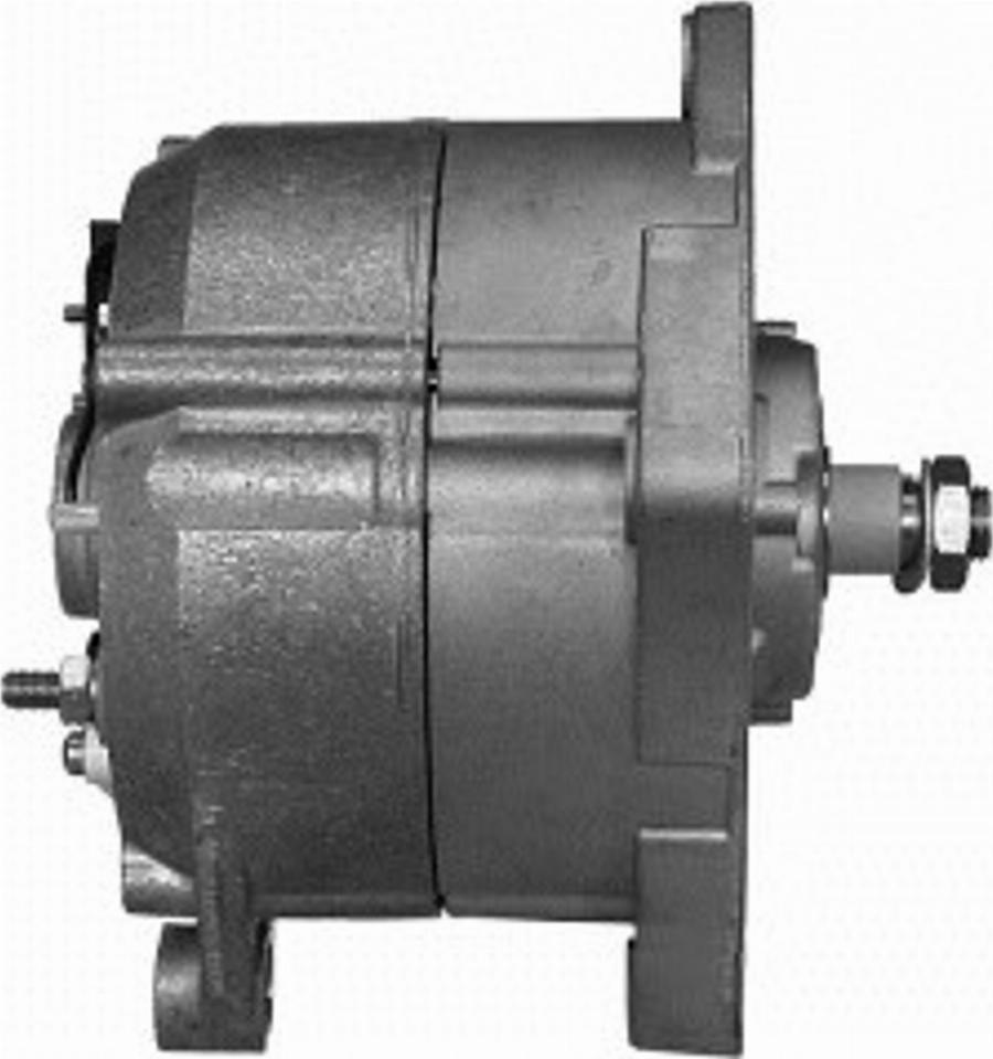 Spidan 5596 - Alternatore autozon.pro