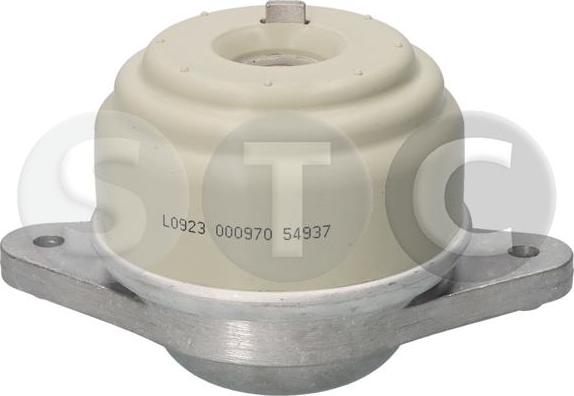 STC T454937 - Sospensione, Motore autozon.pro