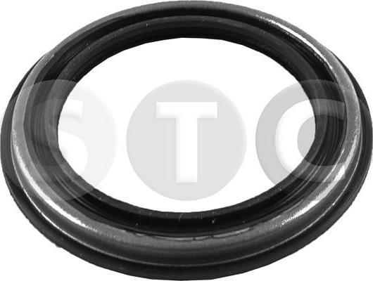 STC T439365 - Paraolio, mozzo ruota autozon.pro