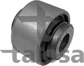 Talosa 57-14041 - Supporto, Braccio oscillante autozon.pro