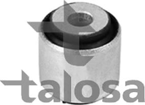 Talosa 57-11906 - Supporto, Braccio oscillante autozon.pro