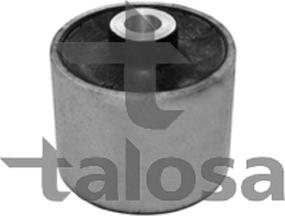 Talosa 57-13994 - Supporto, Braccio oscillante autozon.pro