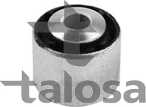 Talosa 57-12324 - Supporto, Braccio oscillante autozon.pro