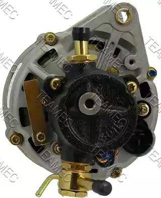 Teamec 211813 - Alternatore autozon.pro