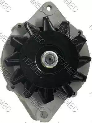 Teamec 212221 - Alternatore autozon.pro