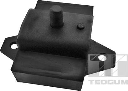 Tedgum 00467300 - Sospensione, Motore autozon.pro