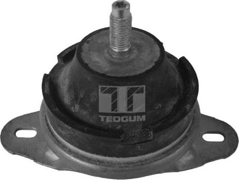 Tedgum 00514176 - Sospensione, Motore autozon.pro