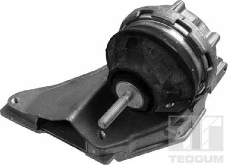 Tedgum 00055597 - Sospensione, Motore autozon.pro