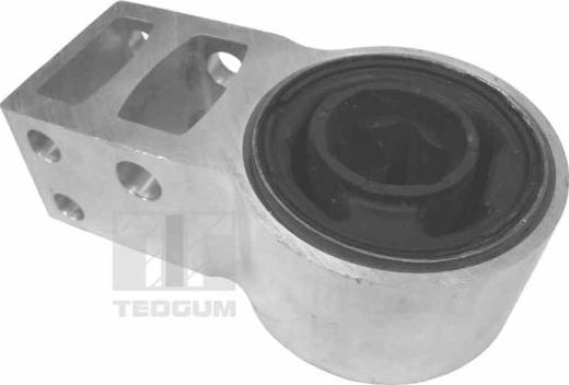 Tedgum 00024602 - Supporto, Braccio oscillante autozon.pro