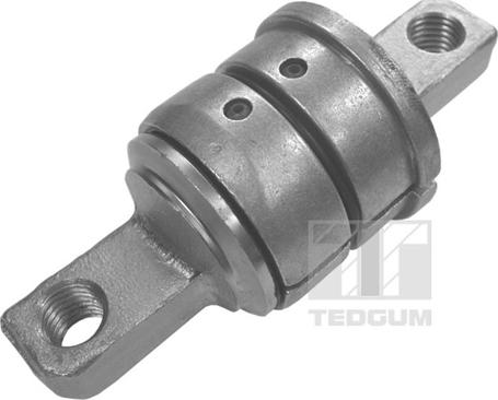 Tedgum 00024636 - Supporto, Braccio oscillante autozon.pro