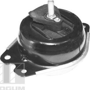 Tedgum TED40414 - Sospensione, Motore autozon.pro