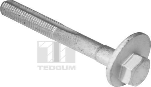 Tedgum TED61701 - Bullone / Vite autozon.pro