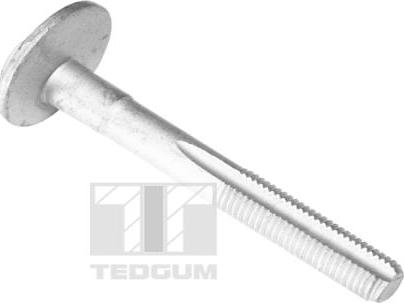 Tedgum TED61701 - Bullone / Vite autozon.pro