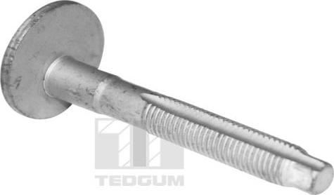 Tedgum TED39597 - Bullone / Vite autozon.pro