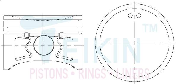Teikin 44690.050 - Pistone autozon.pro