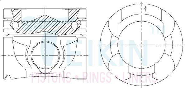 Teikin 44697AG.STD - Pistone autozon.pro