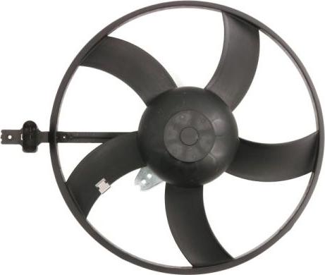 Thermotec D8W035TT - Ventola, Raffreddamento motore autozon.pro