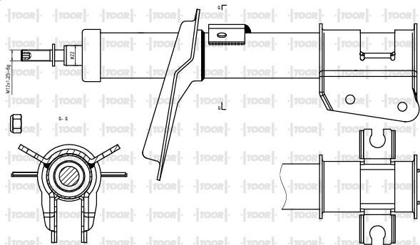 TOOR SG10920 - Ammortizzatore autozon.pro