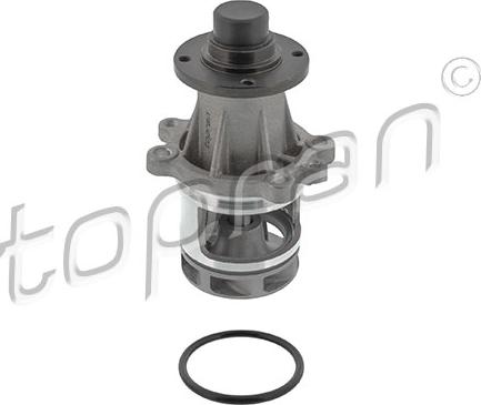 Topran 500 304 - Pompa acqua autozon.pro