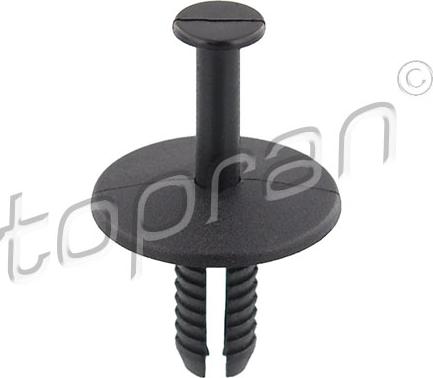 Topran 503 093 - Rivetto d'espansione autozon.pro