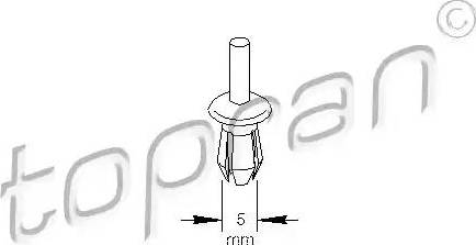 Topran 109 023 - Rivetto d'espansione autozon.pro