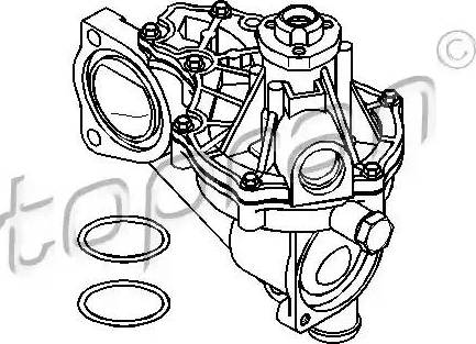 Topran 108 077 - Pompa acqua autozon.pro