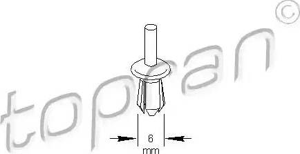 Topran 111 110 - Rivetto d'espansione autozon.pro