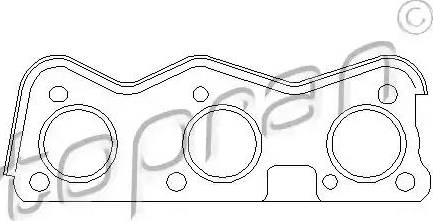 Topran 113 313 - Guarnizione, Collettore gas scarico autozon.pro