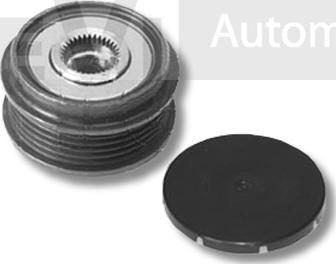 Trevi Automotive AP1063 - Puleggia cinghia, Alternatore autozon.pro