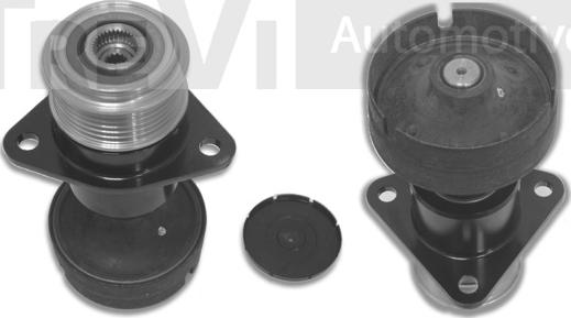 Trevi Automotive AP1078 - Puleggia cinghia, Alternatore autozon.pro