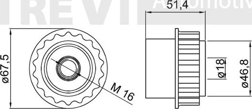 Trevi Automotive AP1157 - Puleggia cinghia, Alternatore autozon.pro