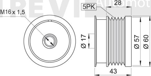 Trevi Automotive AP1131 - Puleggia cinghia, Alternatore autozon.pro