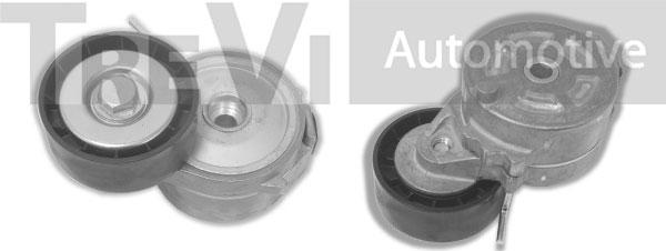 Trevi Automotive TA1996 - Tendicinghia, Cinghia Poly-V autozon.pro