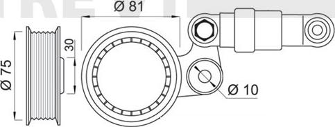 Trevi Automotive TA1451 - Tendicinghia, Cinghia Poly-V autozon.pro