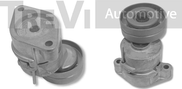 Trevi Automotive TA1465 - Tendicinghia, Cinghia Poly-V autozon.pro