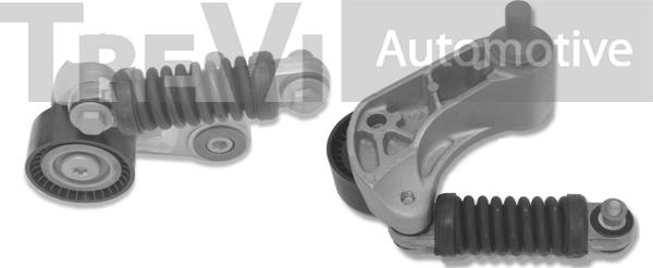 Trevi Automotive TA1424 - Tendicinghia, Cinghia Poly-V autozon.pro