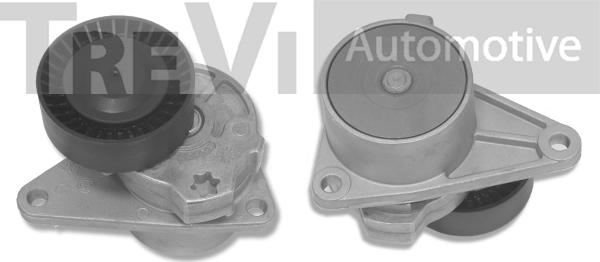 Trevi Automotive TA1425 - Tendicinghia, Cinghia Poly-V autozon.pro